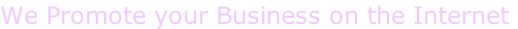 We Promote your Business on the Internet!